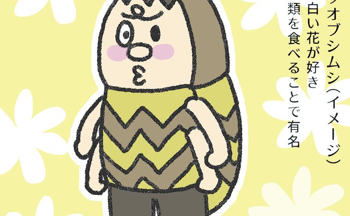 イラスト、マンガ、seo