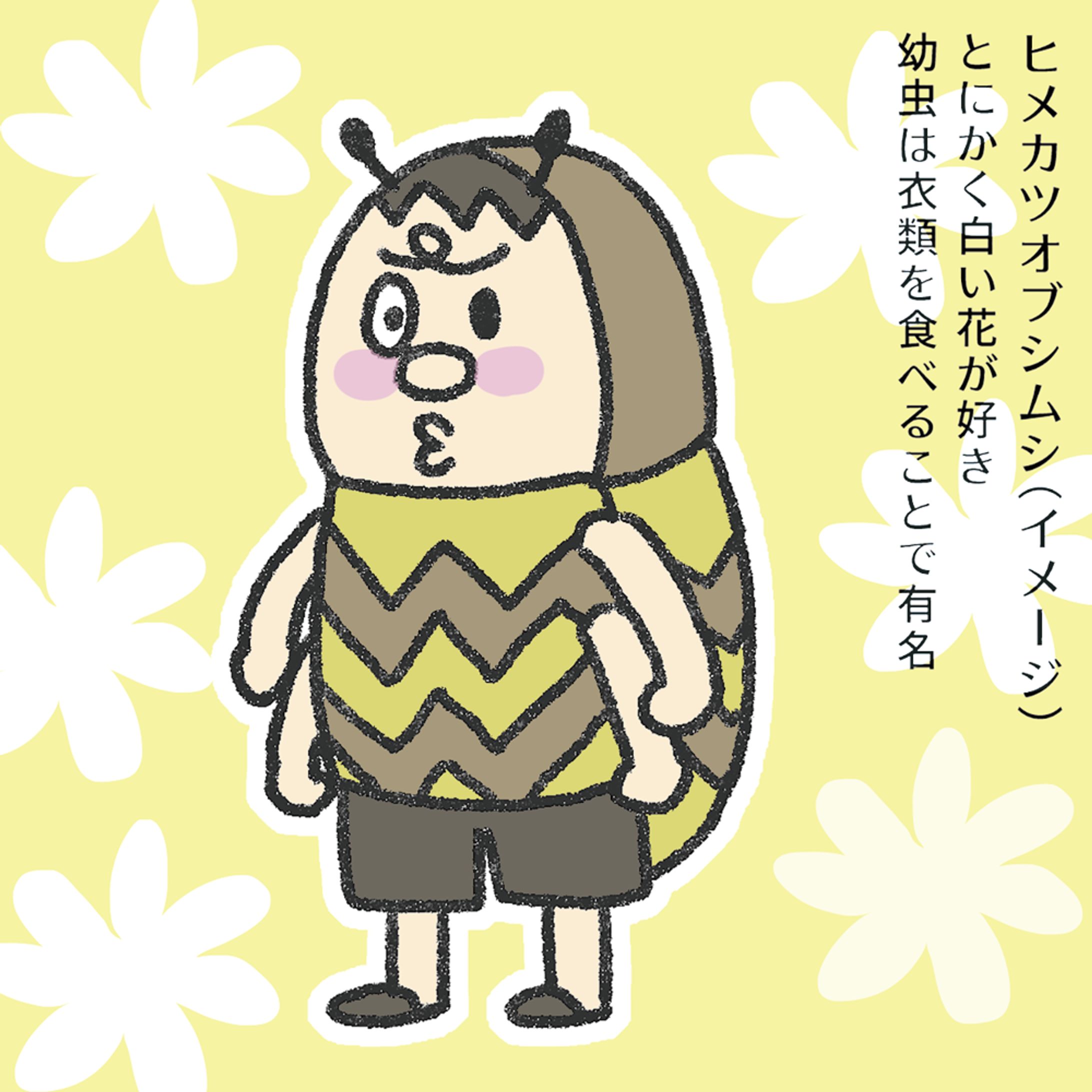 ヒメカツオブシムシ20230414-1
