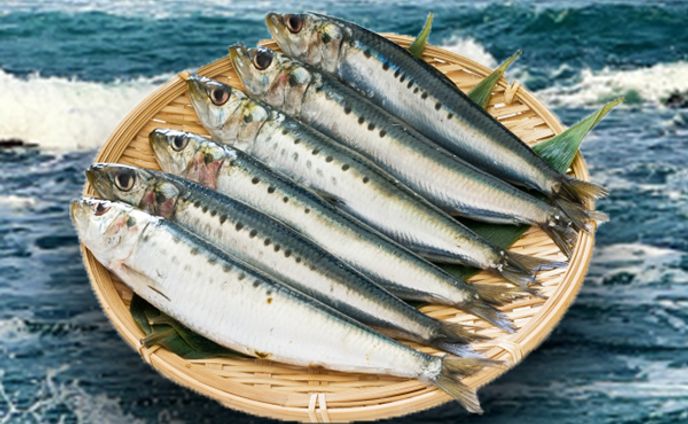 背景つき魚