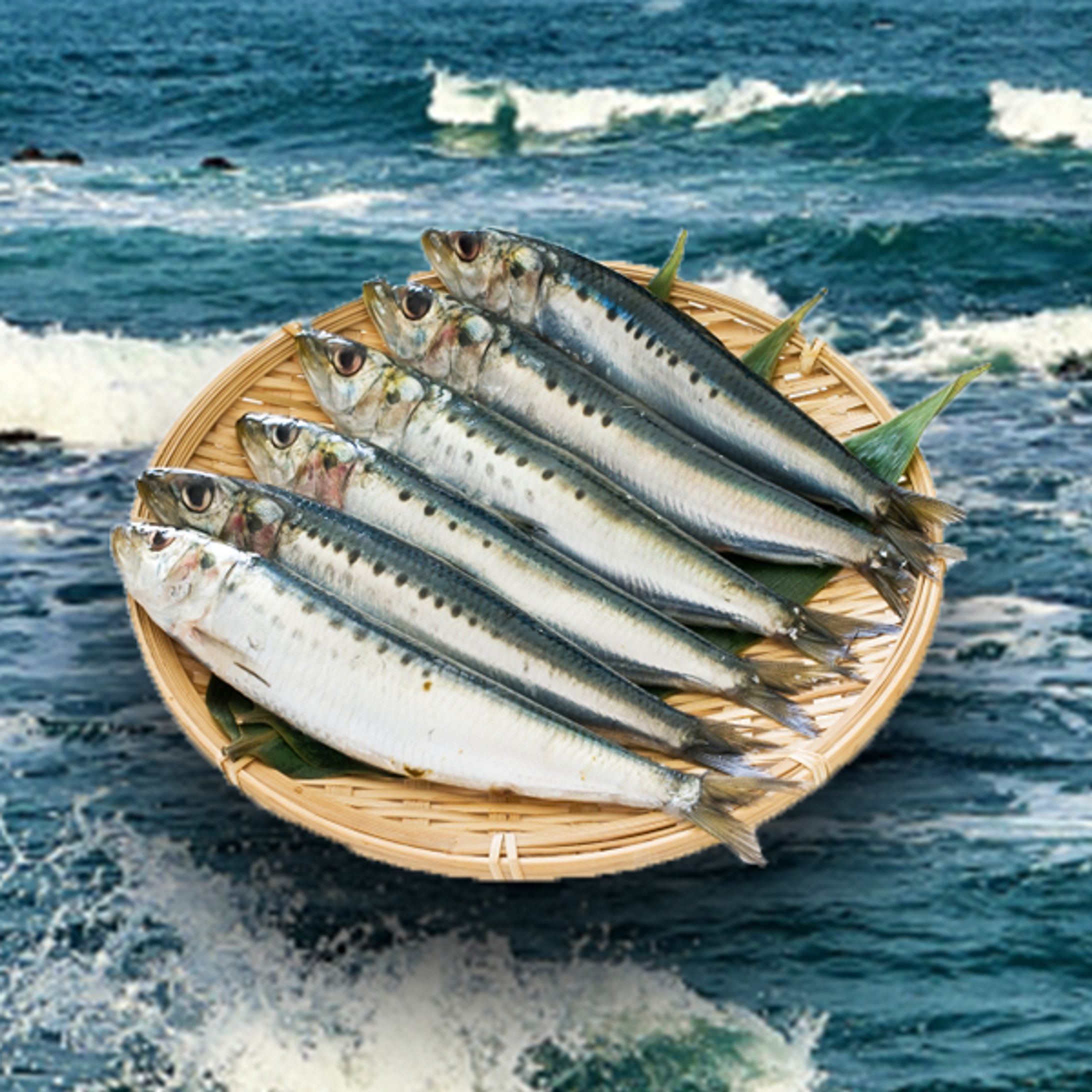背景つき魚-1