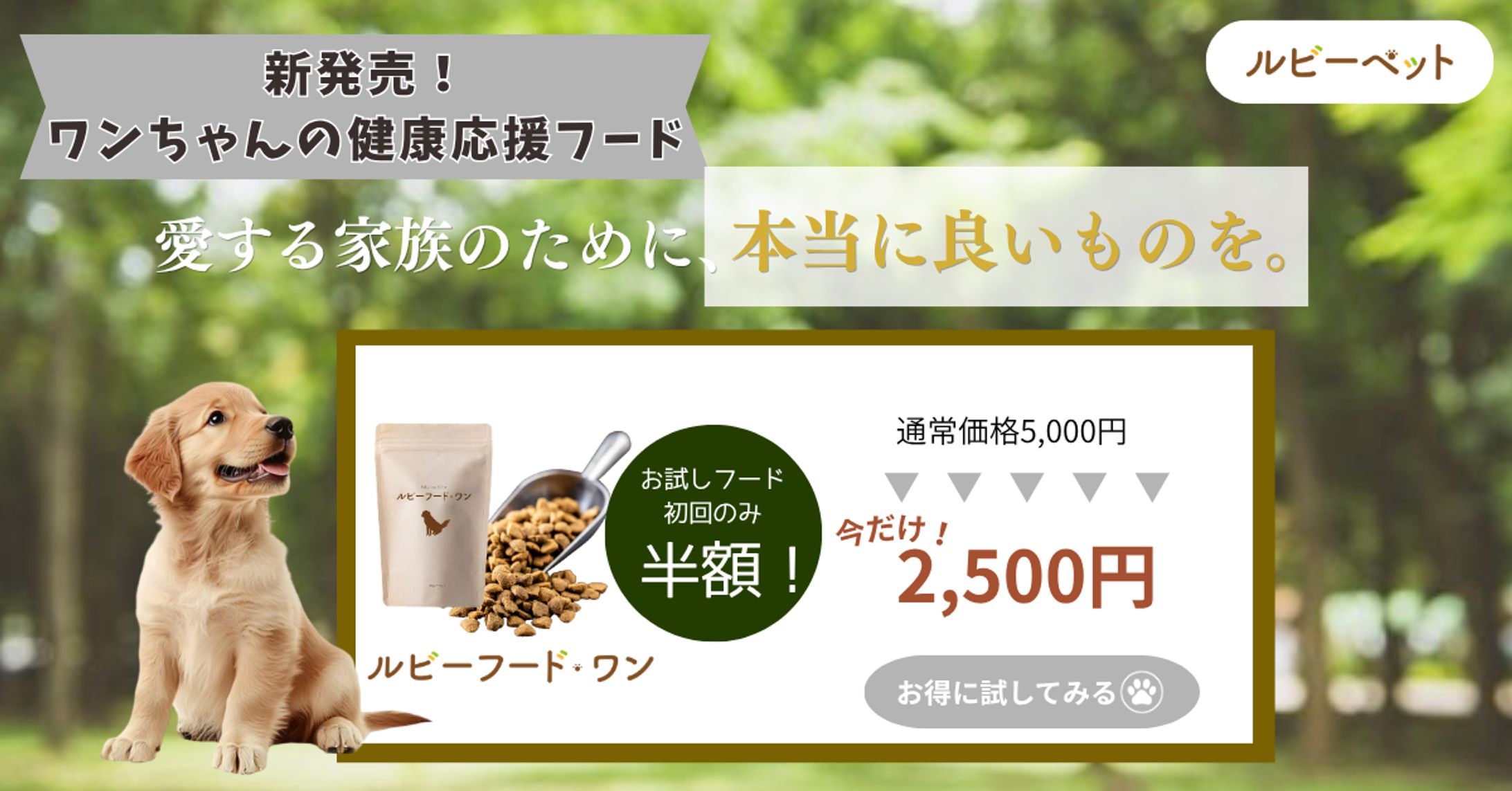 【HarTech】新発売！ワンちゃんの健康応援フード -1