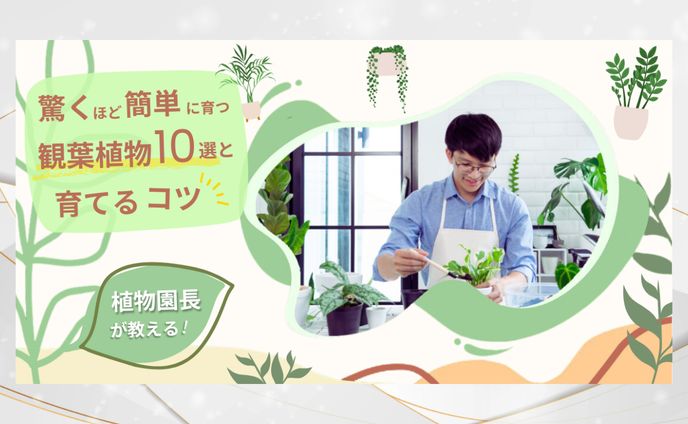 ブログ記事のサムネイル <Canva>