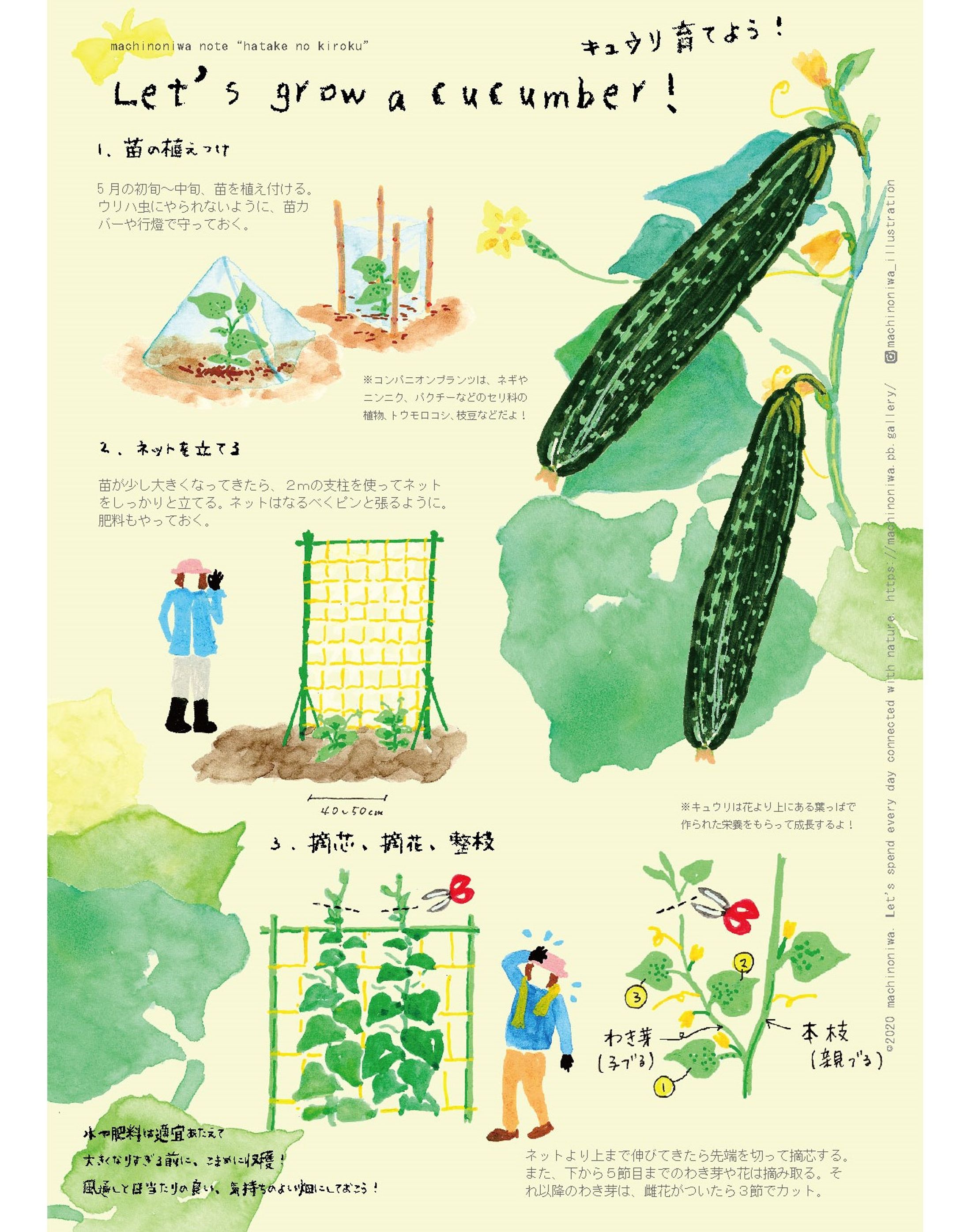 畑のある暮らしノート-1