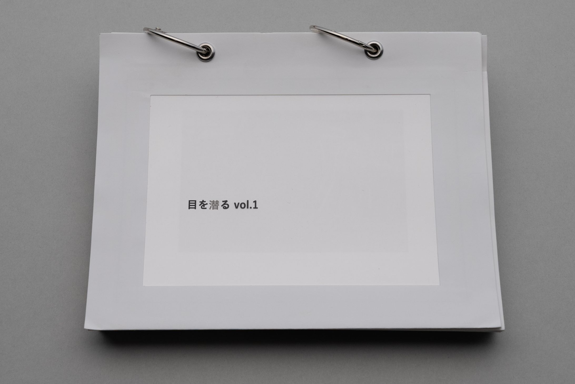 目を潜るvol.1（Passing Under the Gaze vol.1）-1