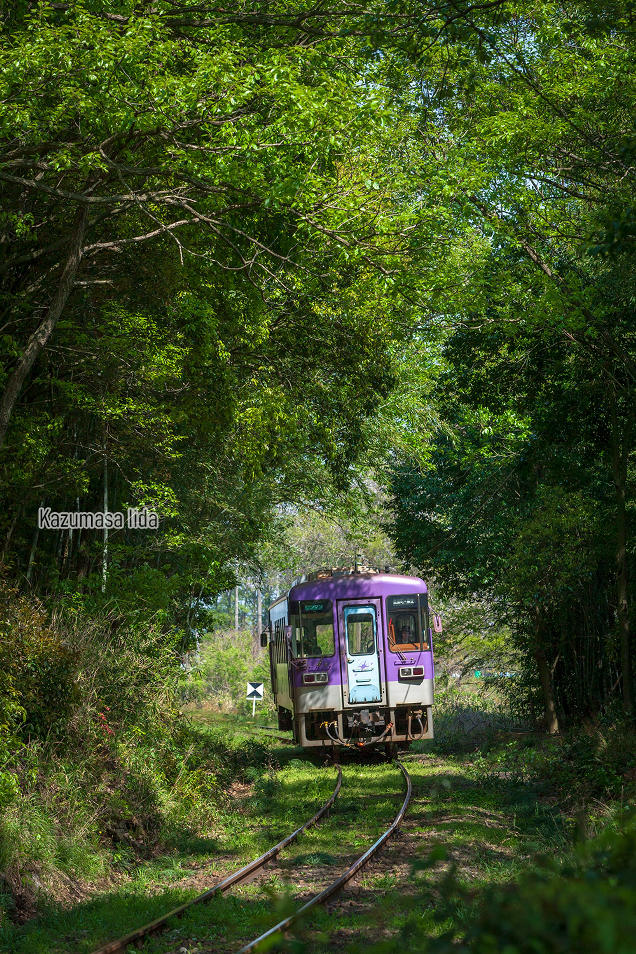 鉄道風景　北条鉄道-1