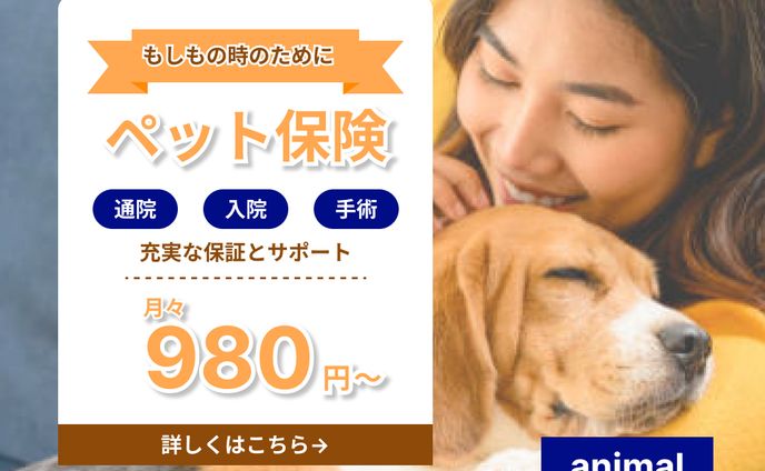 ペット保険　バナー