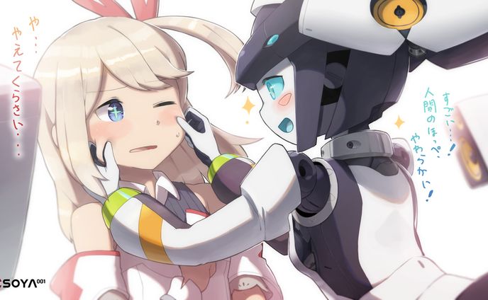 ポートフォリオ、提供したもの