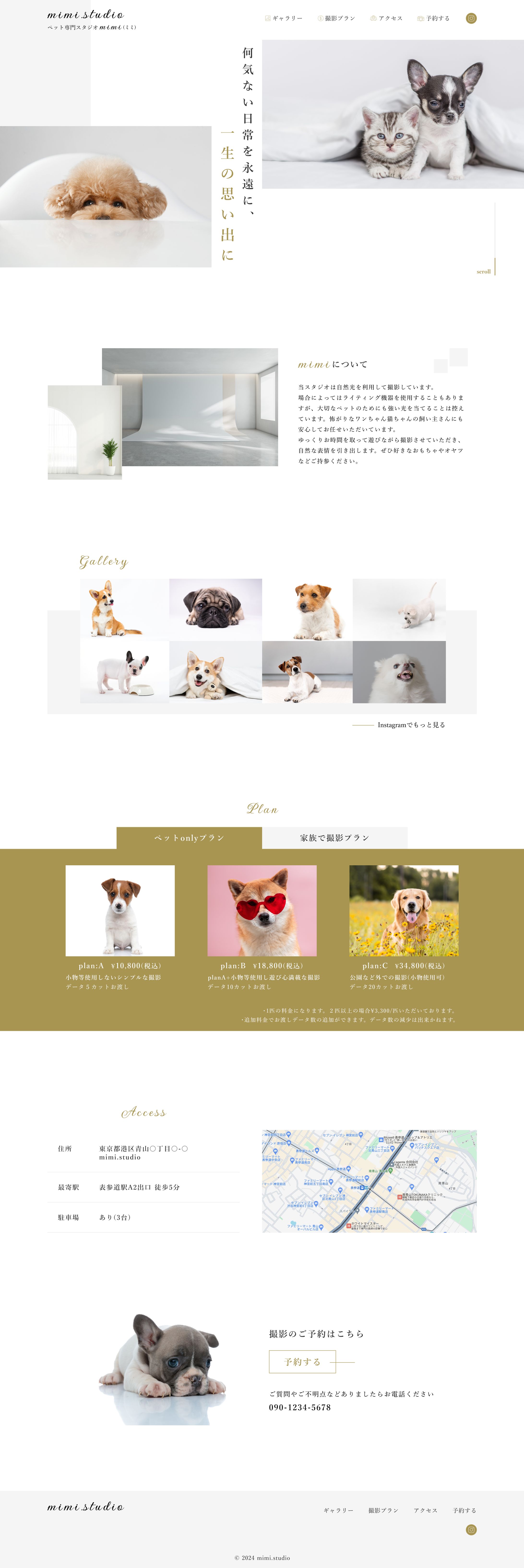 ペット専門フォトスタジオ-1