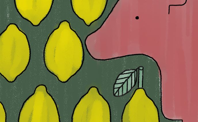 ウシとレモン