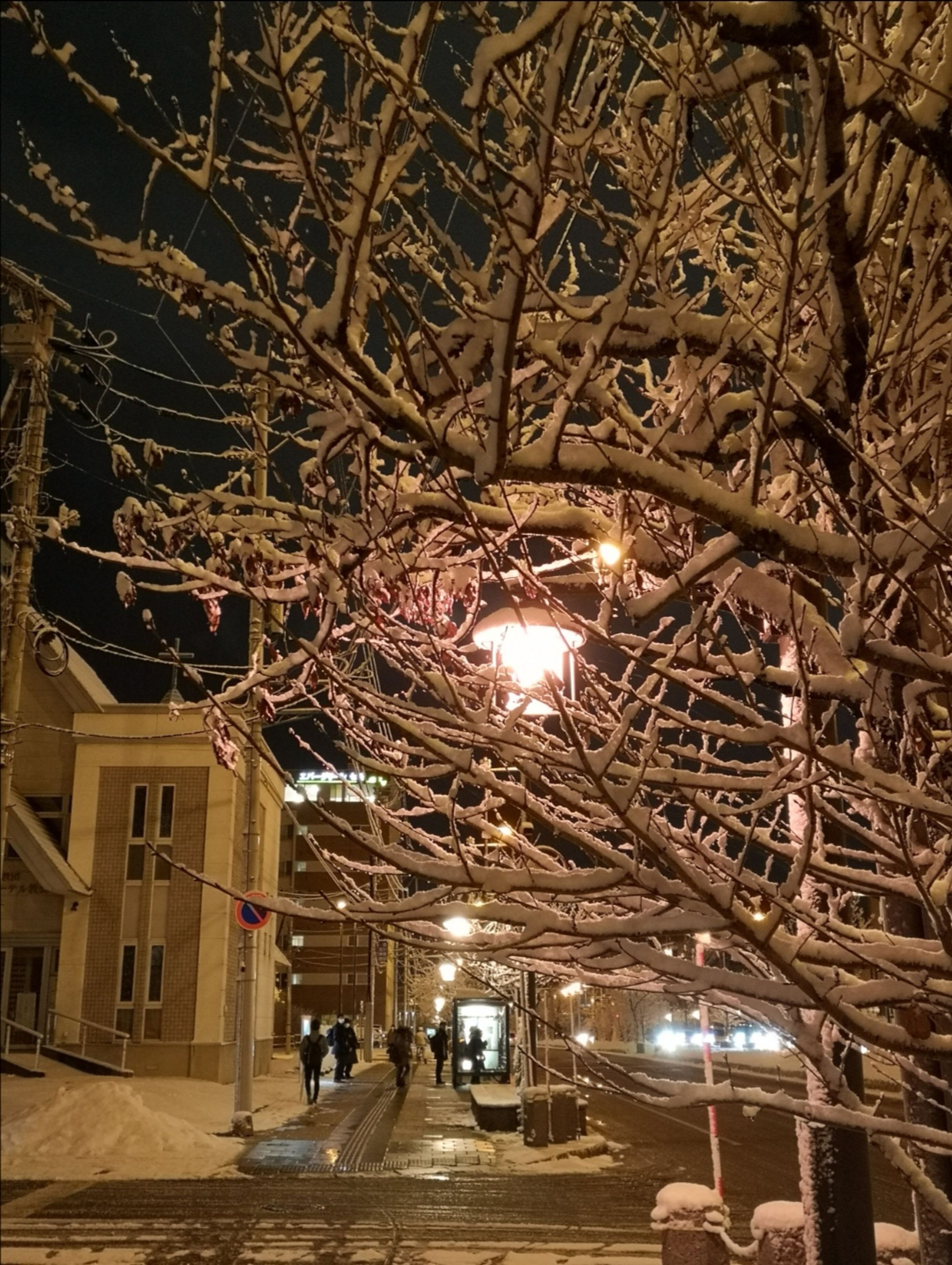 地元で撮影した冬の景色-1