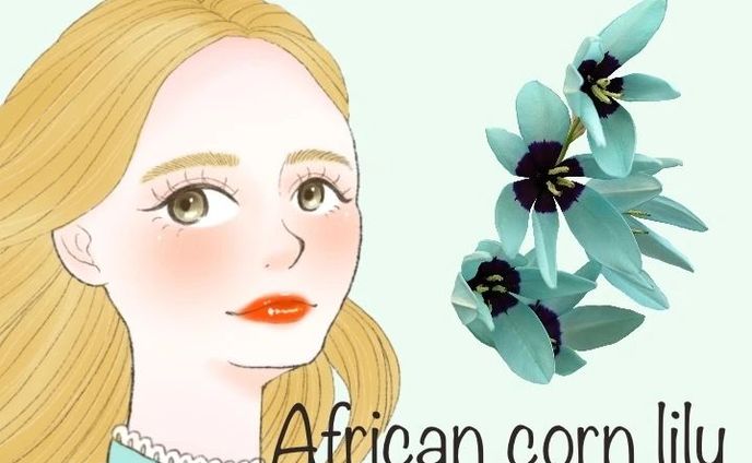おはようございます☀️🙋‍♀️❗

本日の誕生花は、
イキシア

花言葉は、
「誇り高い」「秘めた恋」「団結」
です。

赤など色んな色がありますが、
エメラルドっぽいブルーのお花が、
独特な色で美しいなと思いました。

イラストは、
エルファニングのファッションが、
可愛すぎて描いています💕💕

こちらも独特なワンピースですが、
お洒落に着こなしてるエルファニングが可愛かった!

描くの難しかった💦

#illustration #illustrator #drawing  #ガールズイラスト #ファッション #fashion #ファッションイラストレーター #ファッションイラスト  #girl #絵 #art #ファッションスナップ #女の子イラストを描くのが好き #ヘアースタイル #メイク #アイコン  #アイコン作成 #イラスト好きな人と繋がりたい #誕生花 #アクセサリー  #女性イラスト #ワンピース #ロングヘアー
#ファッション好きな人と繋がりたい