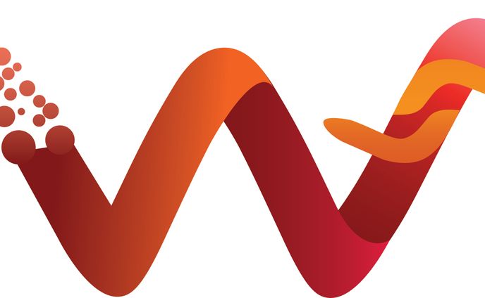logo I+W+S