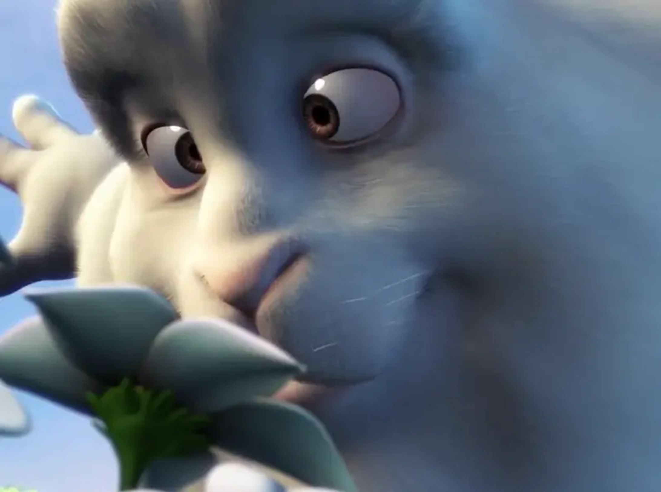 ezgif 6edaf5bcd476be-1