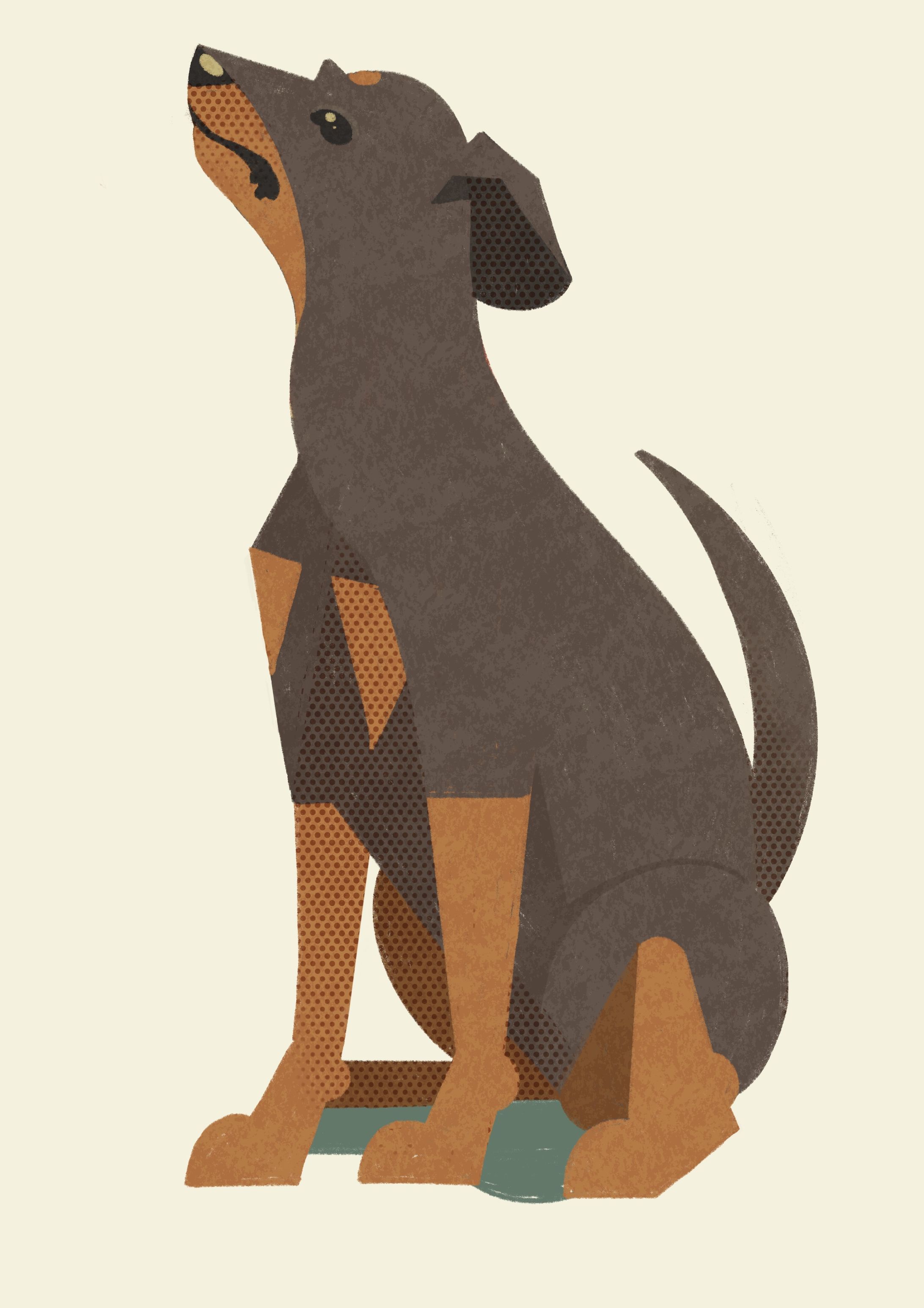 ミニチュアピンシャー-1