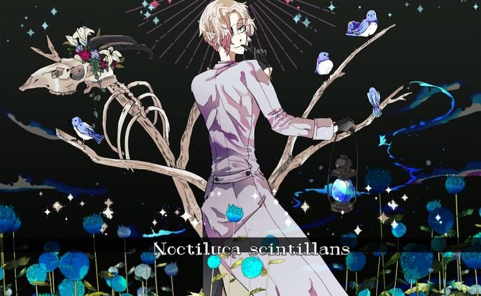 ノクチルカ