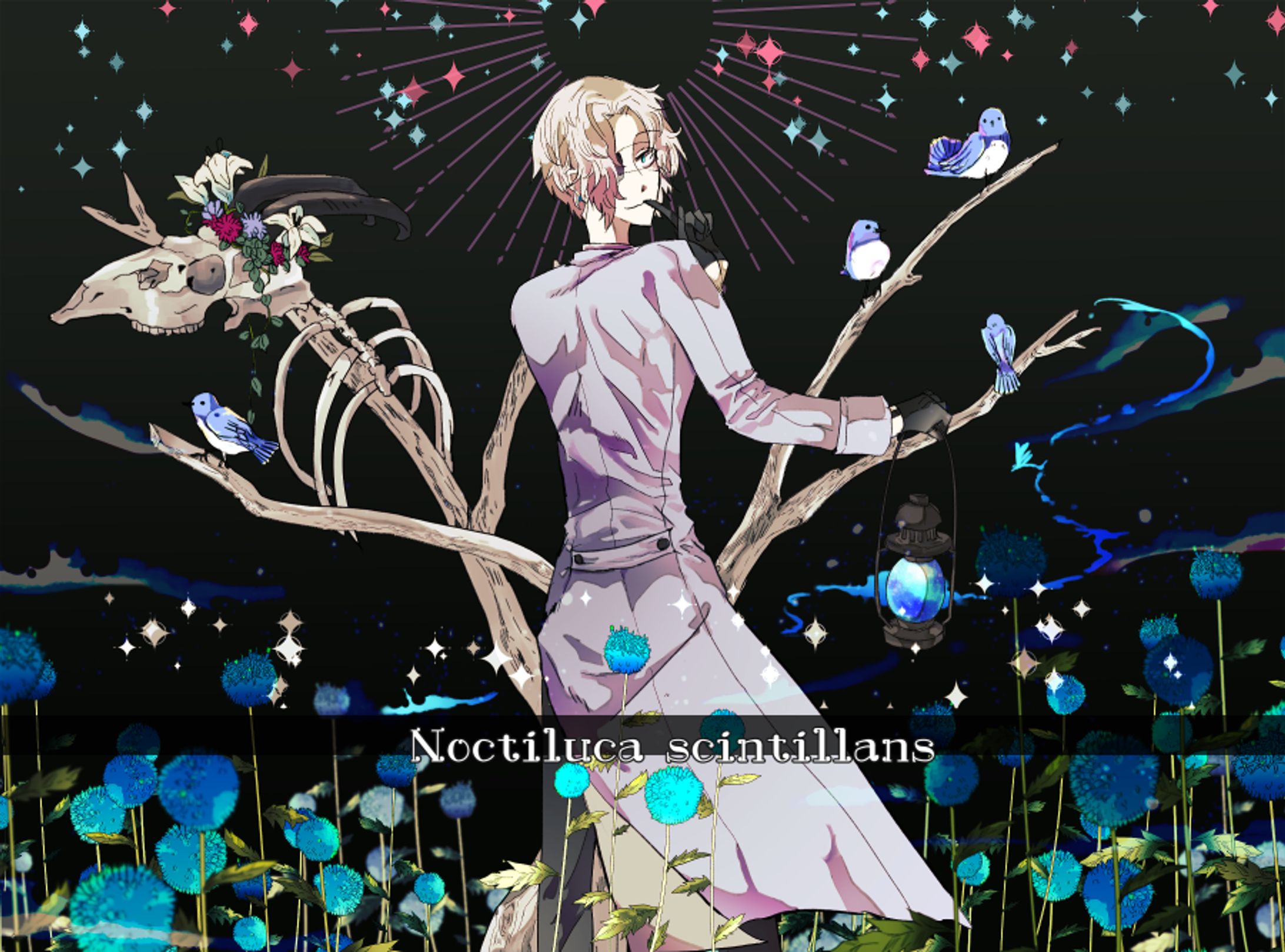 ノクチルカ-1