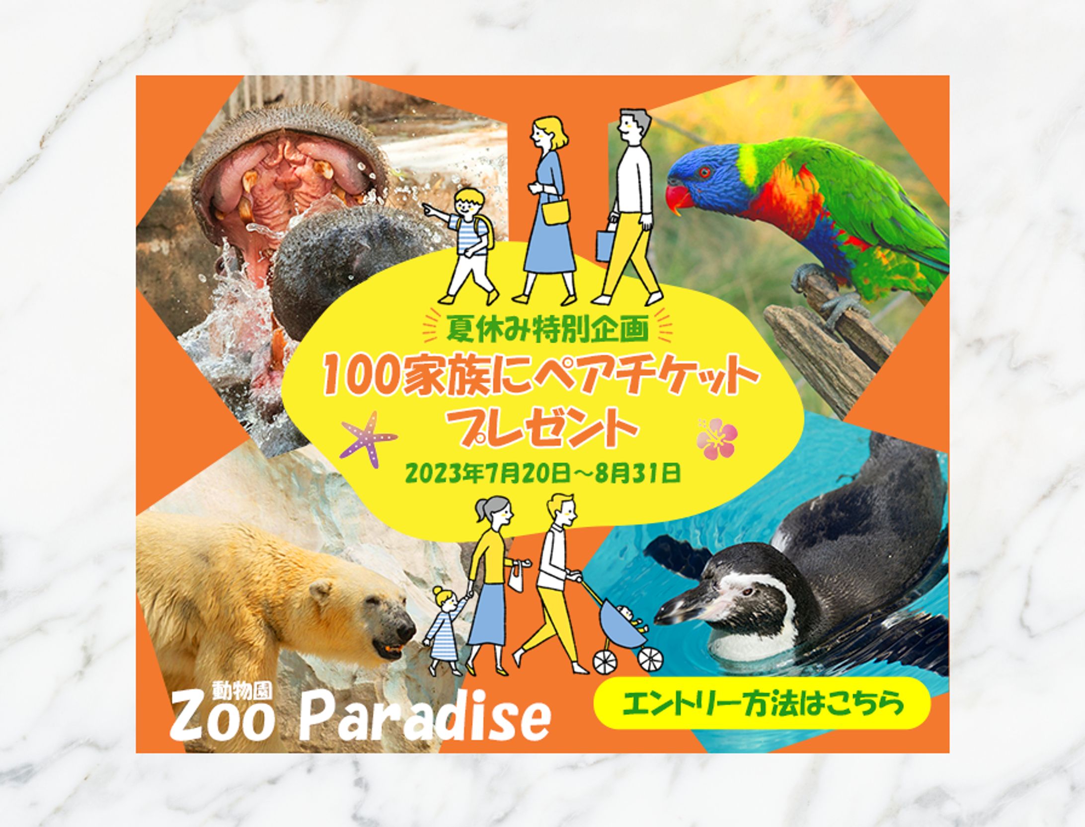 動物園　夏休み特別企画バナー-1
