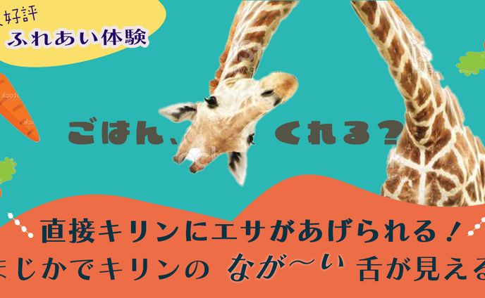 学生、動物系
