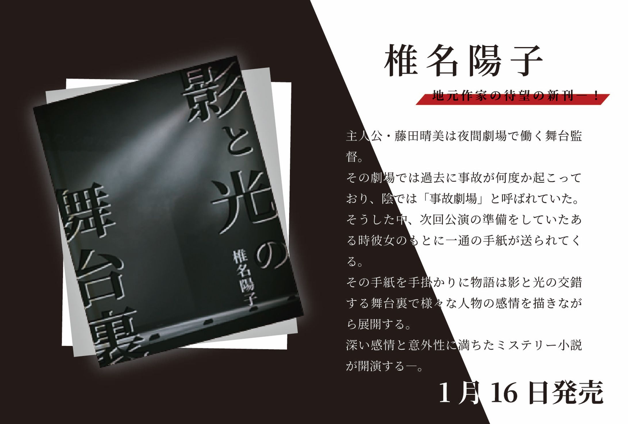 新刊小説のDM-1
