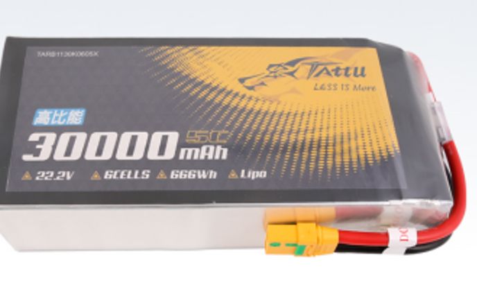 ドローン電池日本市場分析レポート：市場規模、成長率、主要企業の動向2025-2031