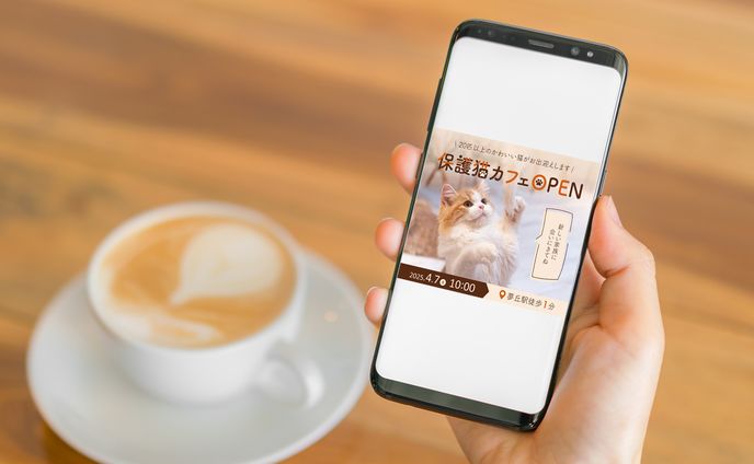 保護猫カフェバナーデザイン