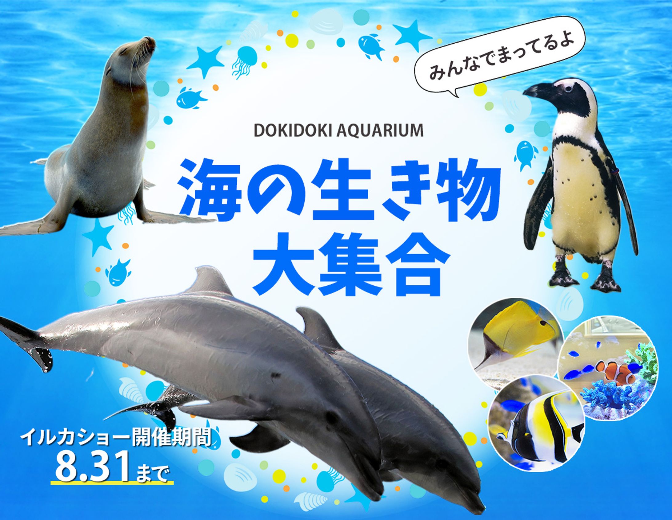 水族館バナー-1