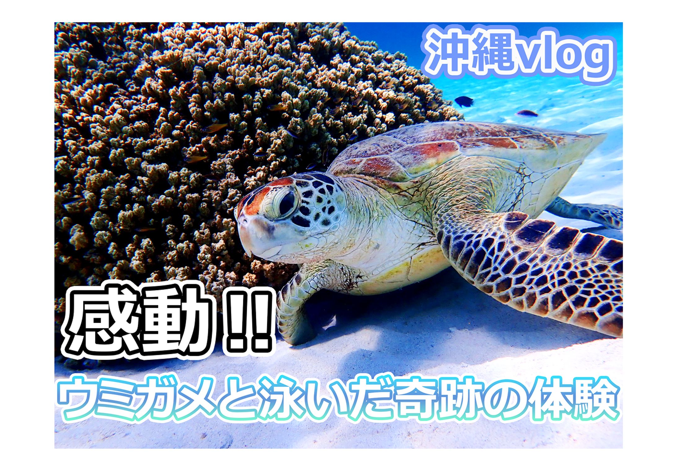 沖縄vlog　サムネ-1