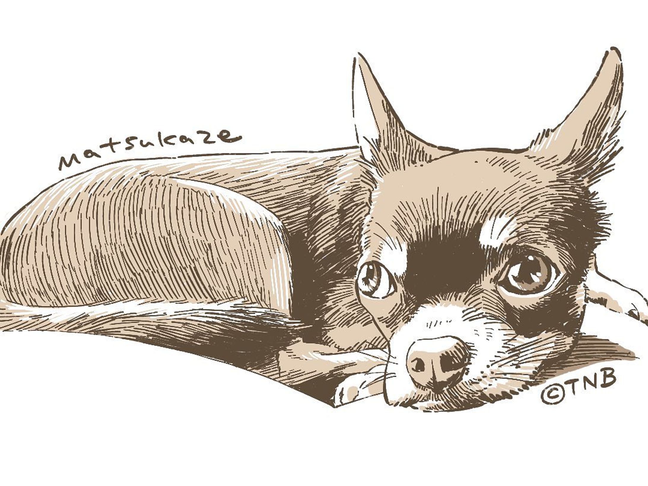 Matsukaze
#うちの犬のポートレイト
#illustration #portrait #dog-1