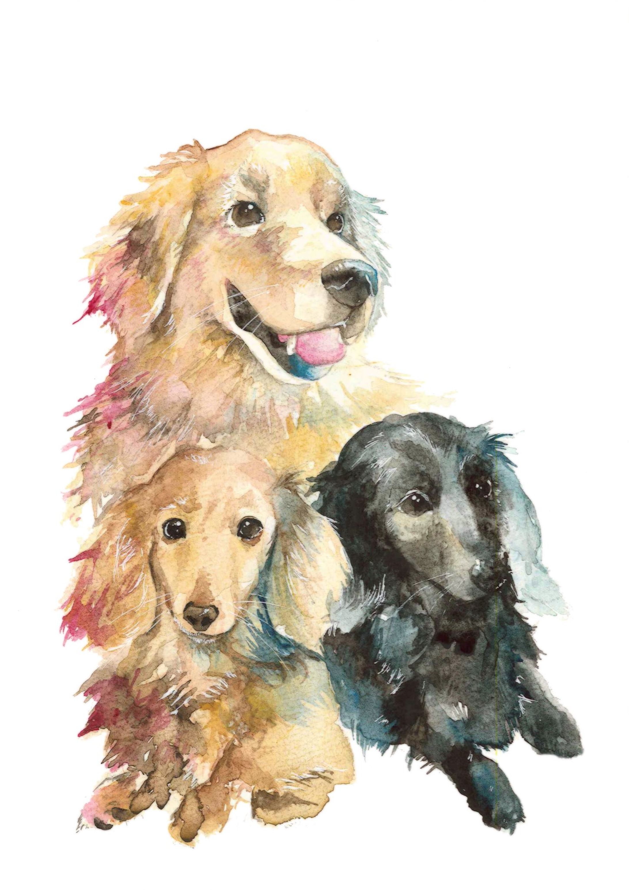 【commission】ペット似顔絵-1