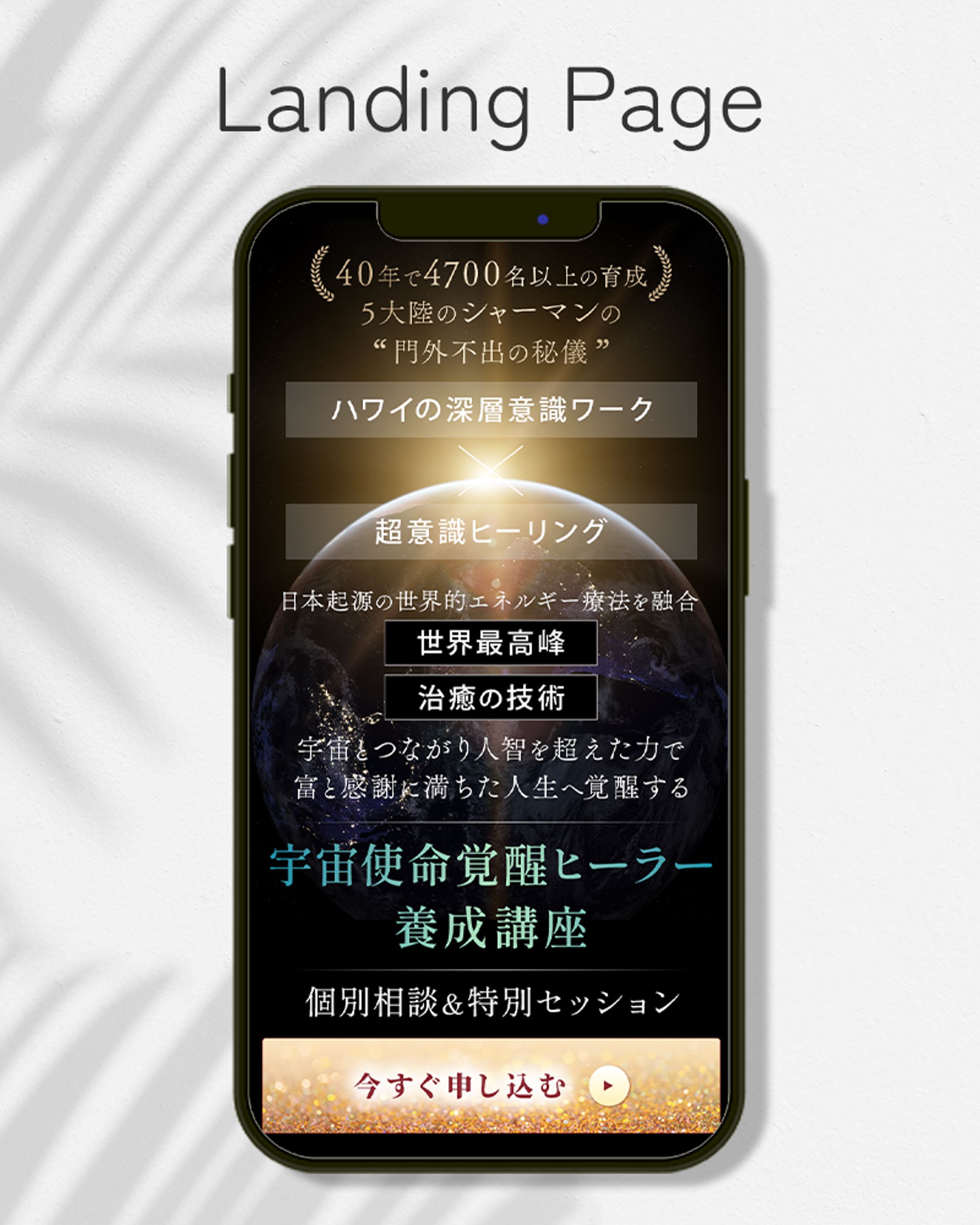 LP(ランディングページ) FV-1