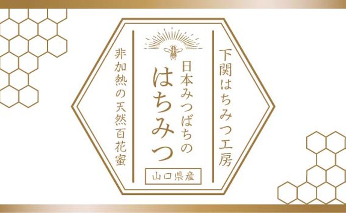 web design、注目