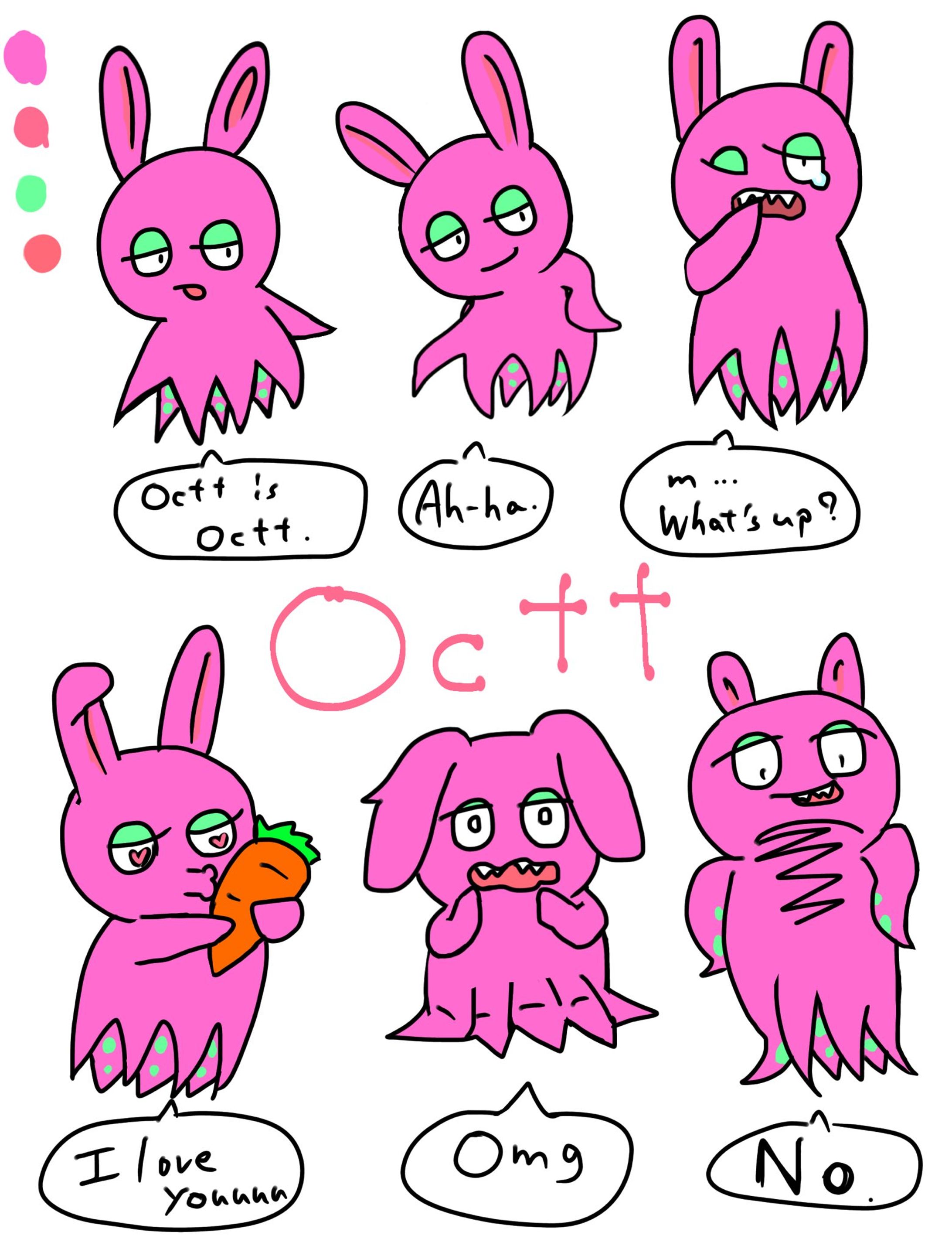 たこうさぎのOctt-1