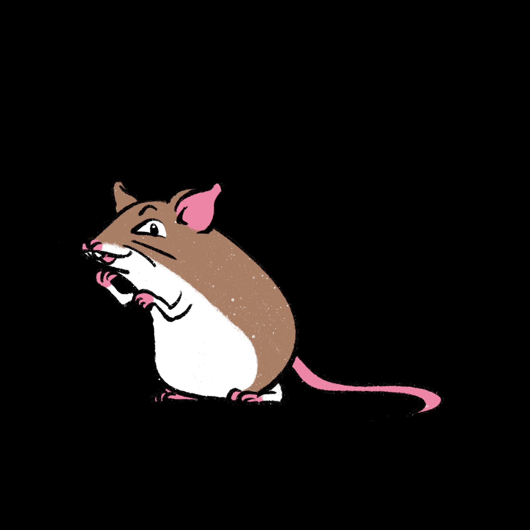 ゆるいネズミ-1