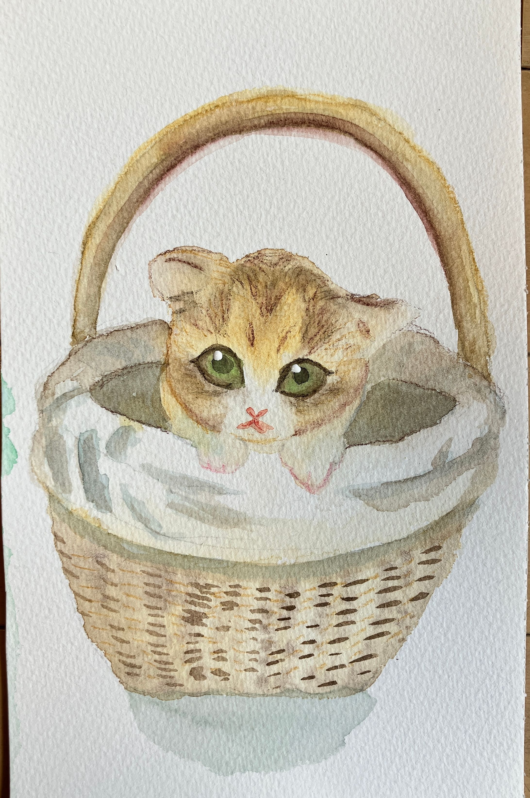 水彩　ひょっこり猫ちゃん-1