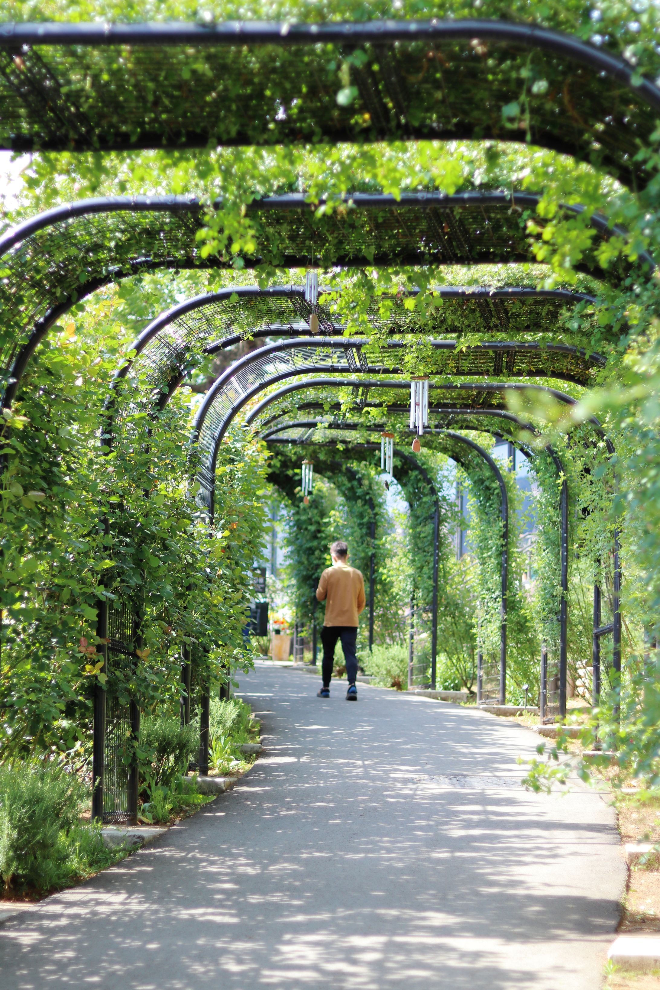 いばらきフラワーパーク-1