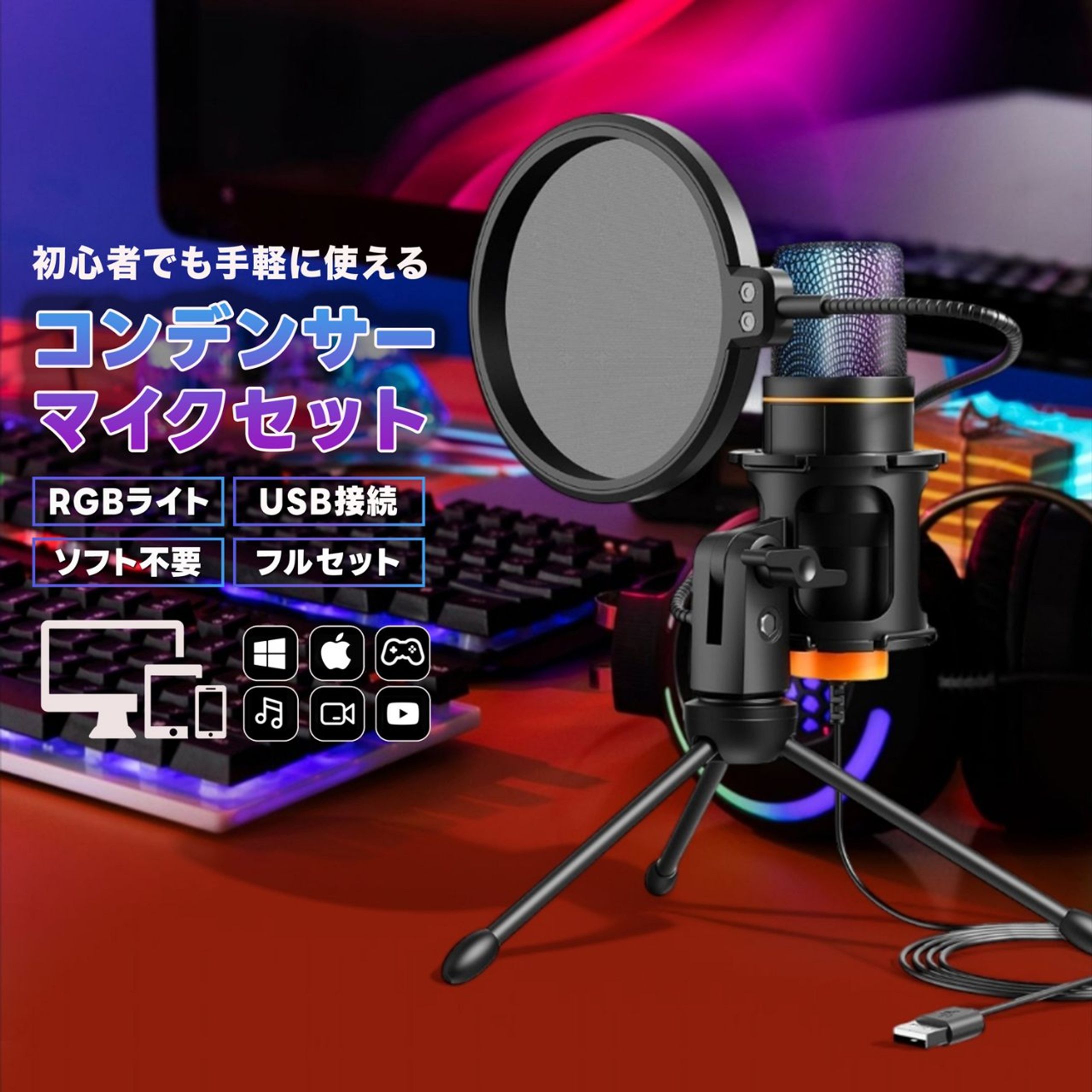 コンデンサーマイク-1