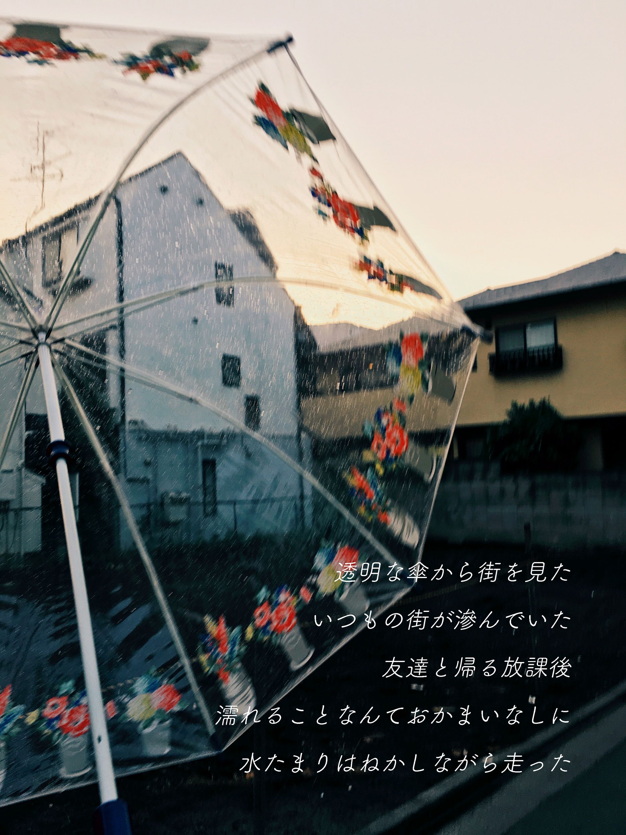 雨-1