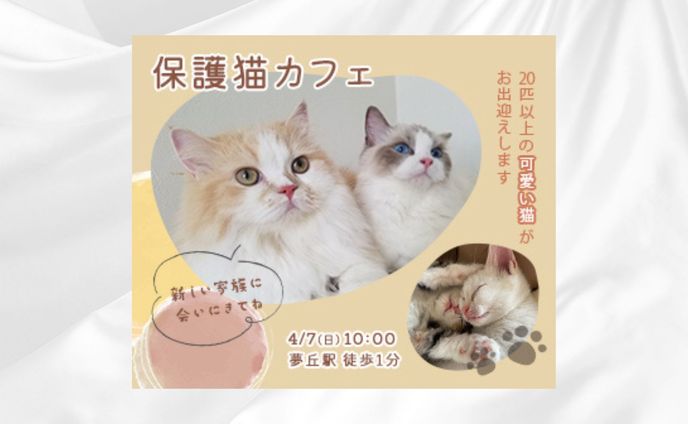 【バナー】保護猫カフェ
