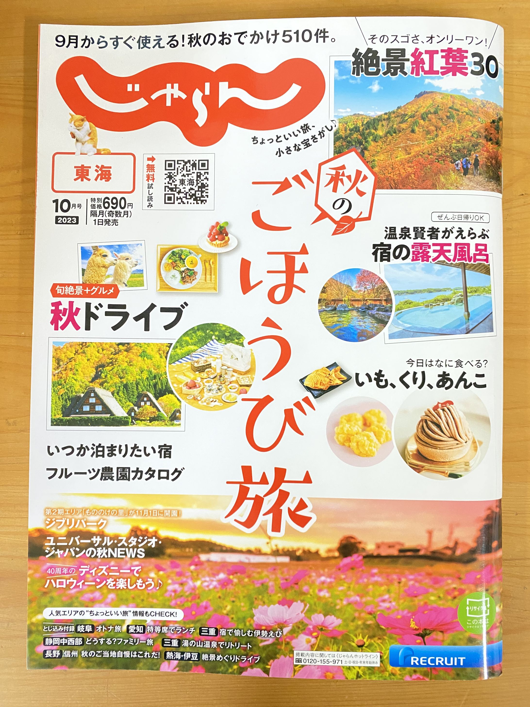 東海じゃらん-1