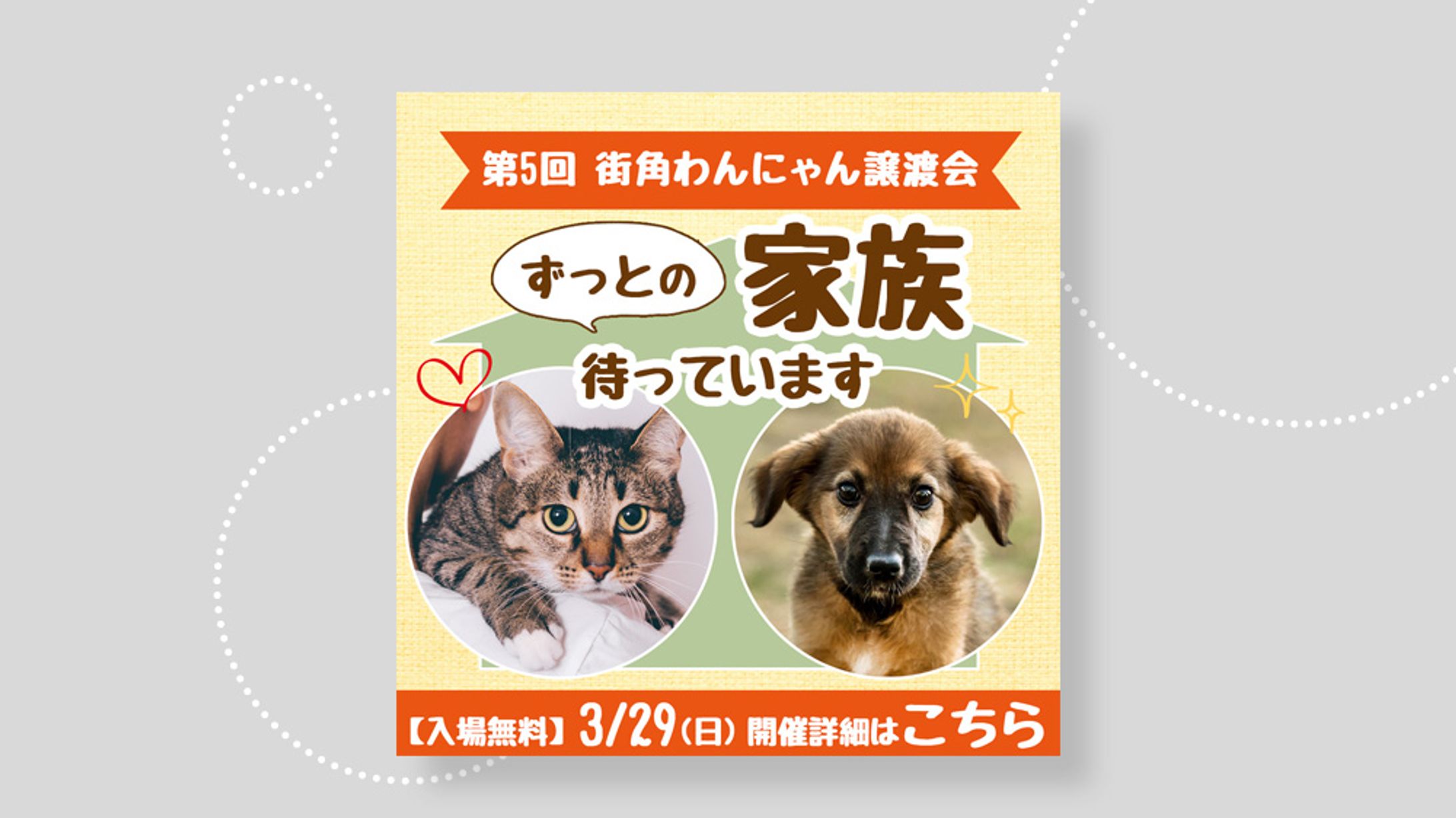 バナー：譲渡会の告知-1