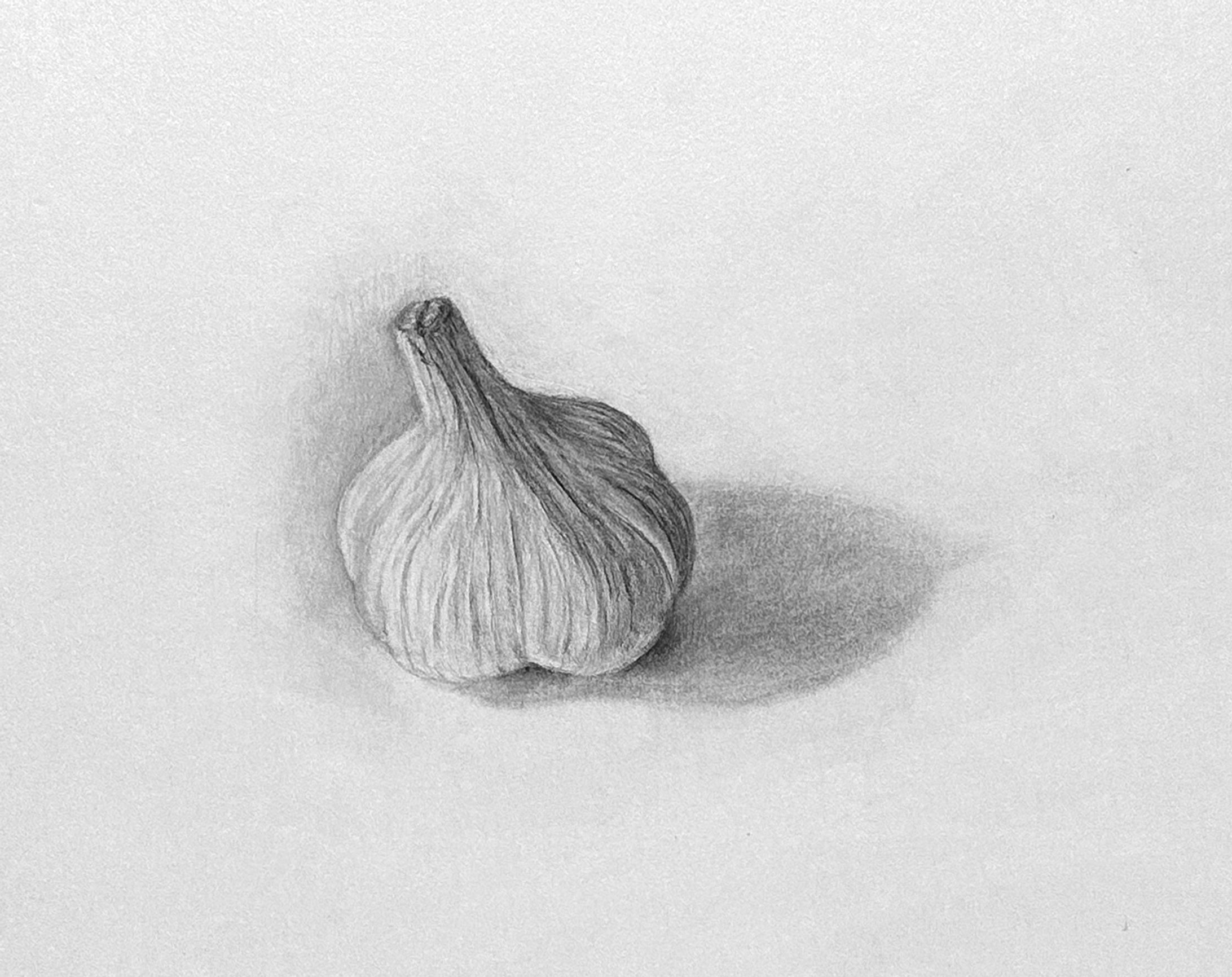 静物１：自然物を一つ描く（白い紙の上のにんにく）-1