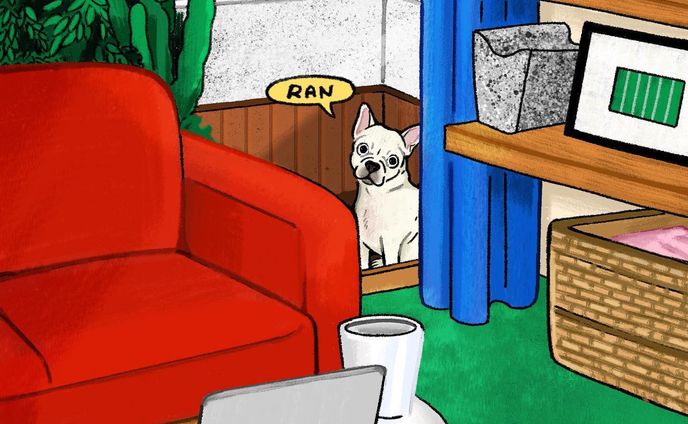 ランちゃん＾＾

#illustrate #illustration #art #イラスト#イラストレーション #paint #procreate #artwork #illust #fashion #drawing#일러스트 #드로잉 #그림스타그램#犬#いぬすたぐらむ #dog