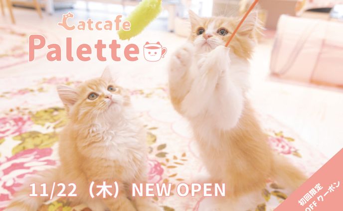 猫カフェ