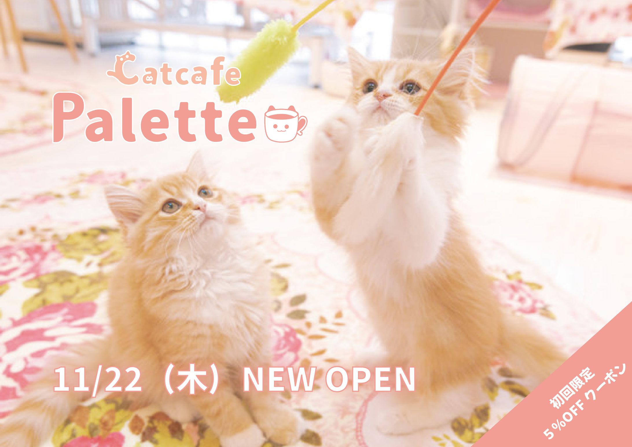 猫カフェ-1