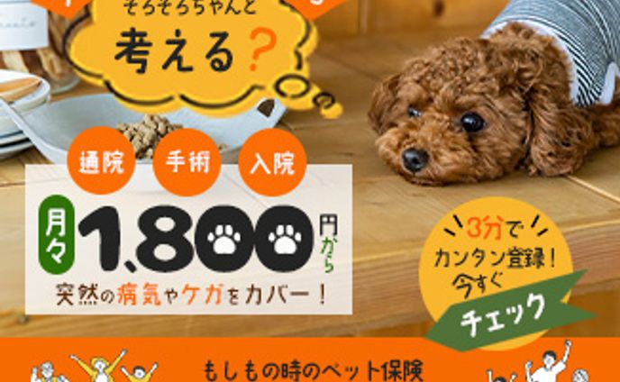 音楽、バナーデザイン