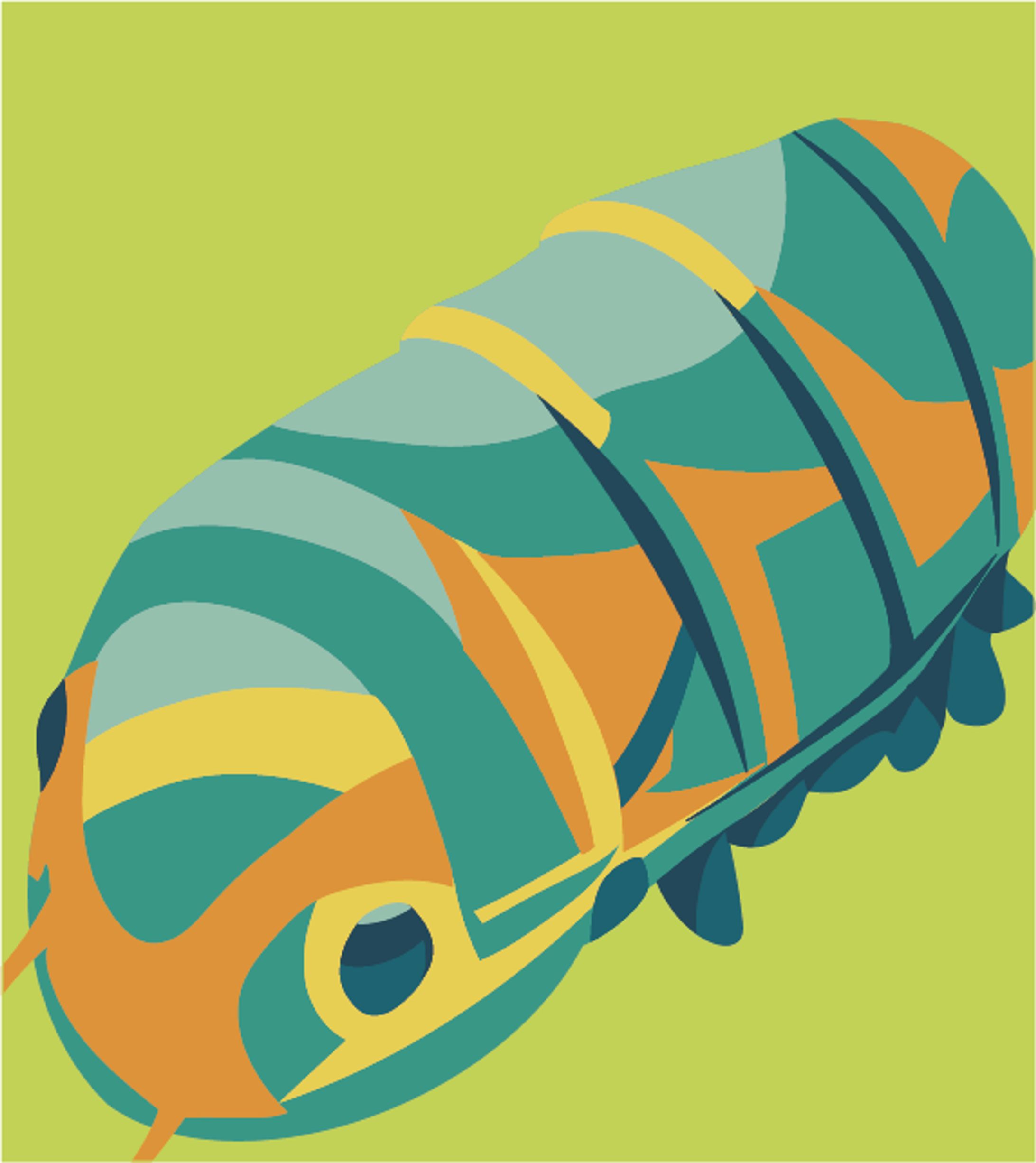 写真の再構成-1