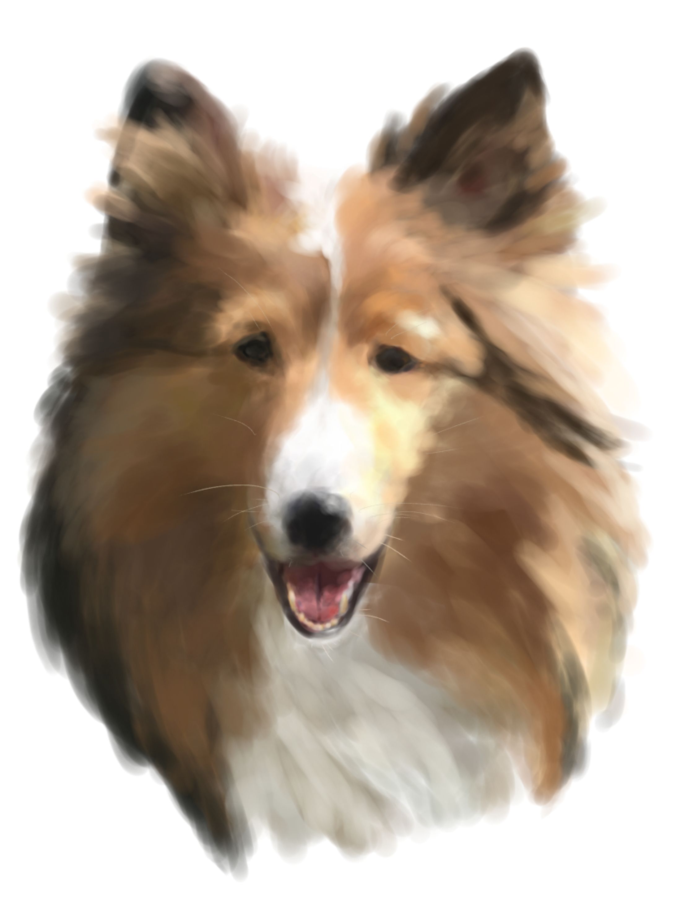 動物似顔絵_通常絵柄-1