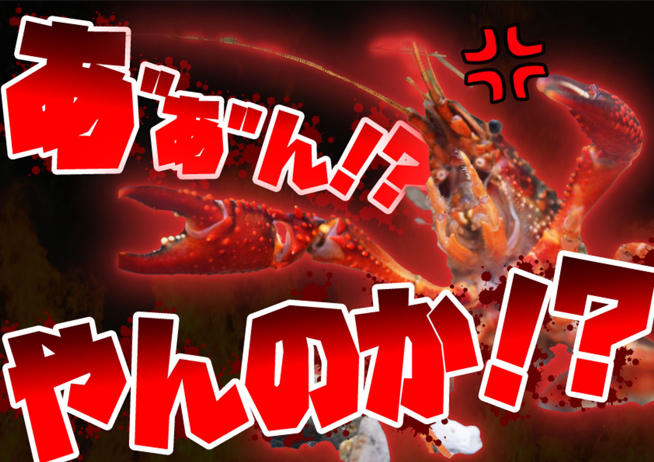 イカるアメリカザリガニ-1