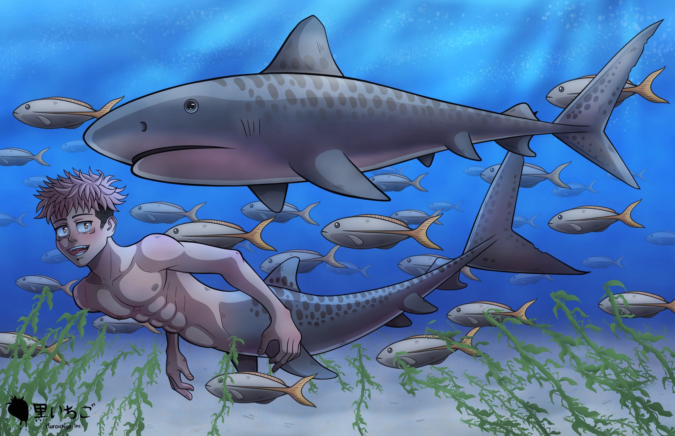 Tiger Shark Buddy-1