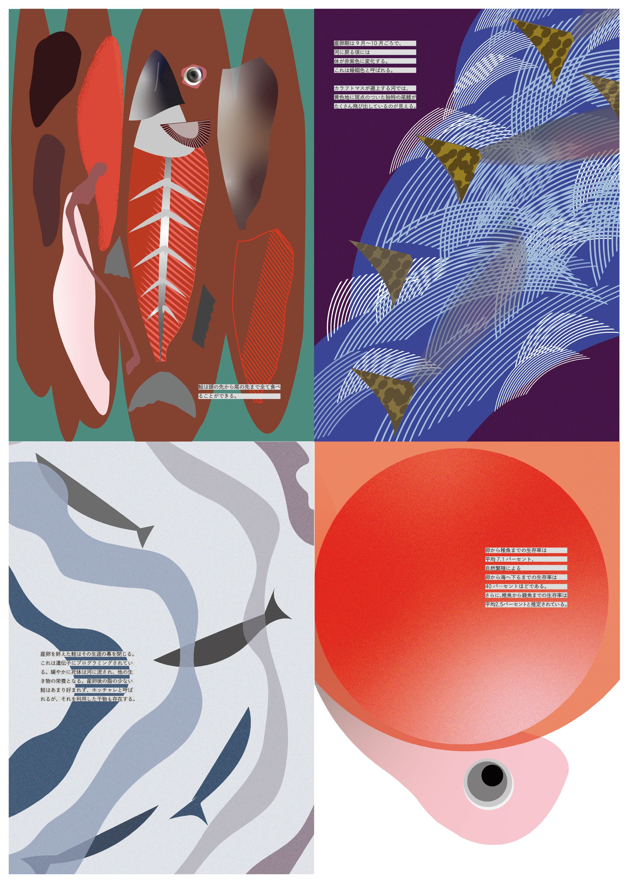 鮭のデザイン-1